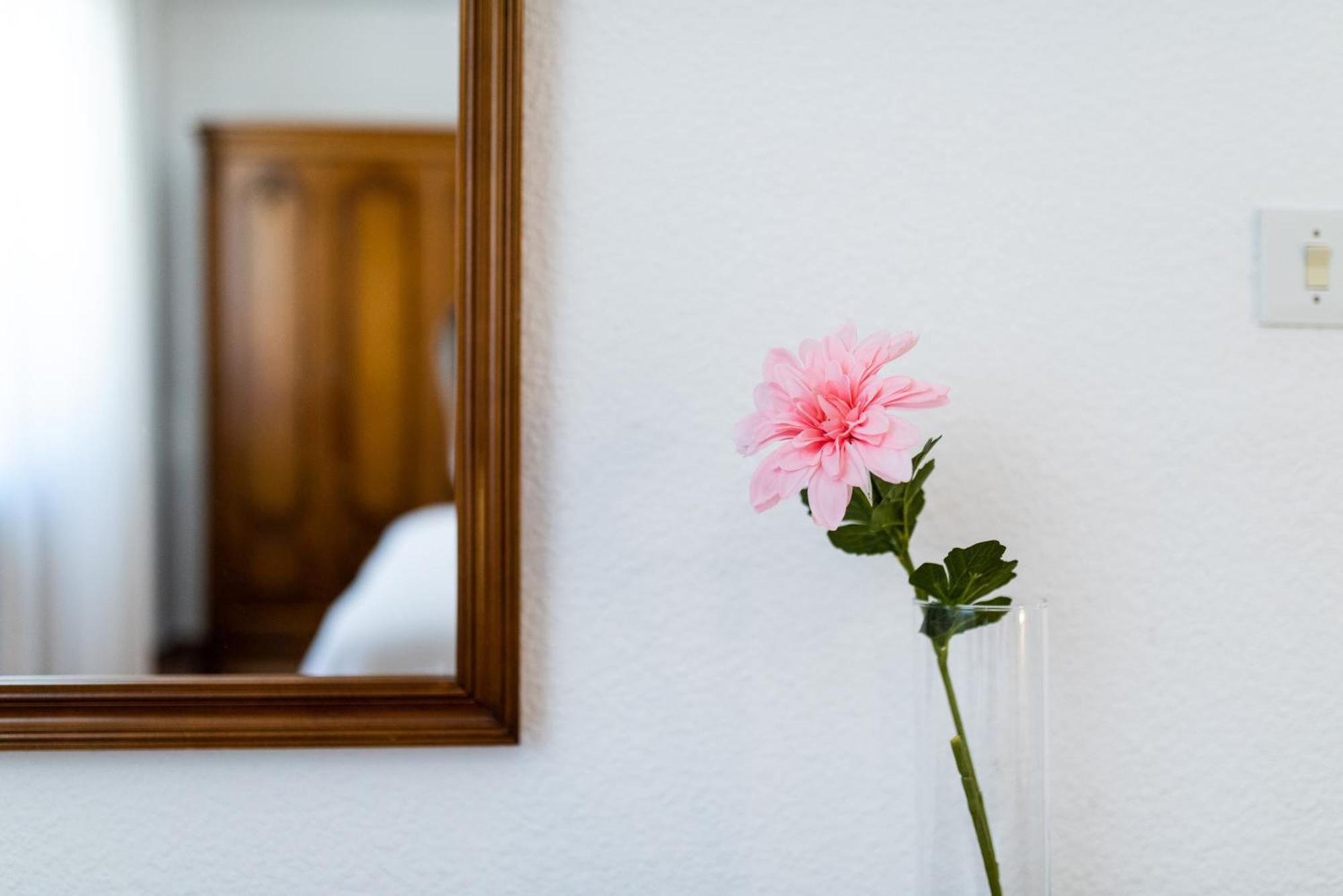 Apartamento Turismo Granada Dış mekan fotoğraf